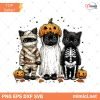 Funny Halloween Cat Png Spooky Cat Png