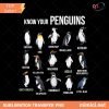 Know Your Penguins PNG, Penguin Antarctic Birds Animals Marine PNG