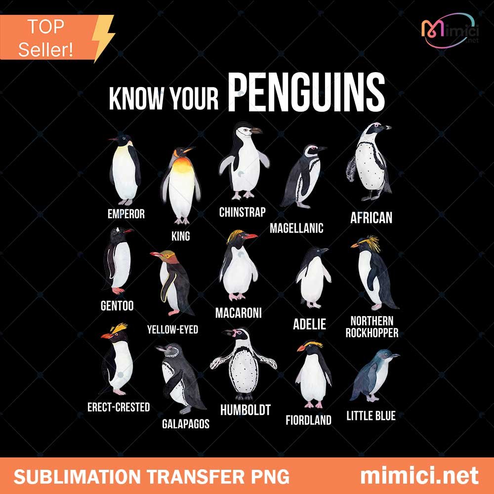 Know Your Penguins PNG, Penguin Antarctic Birds Animals Marine PNG